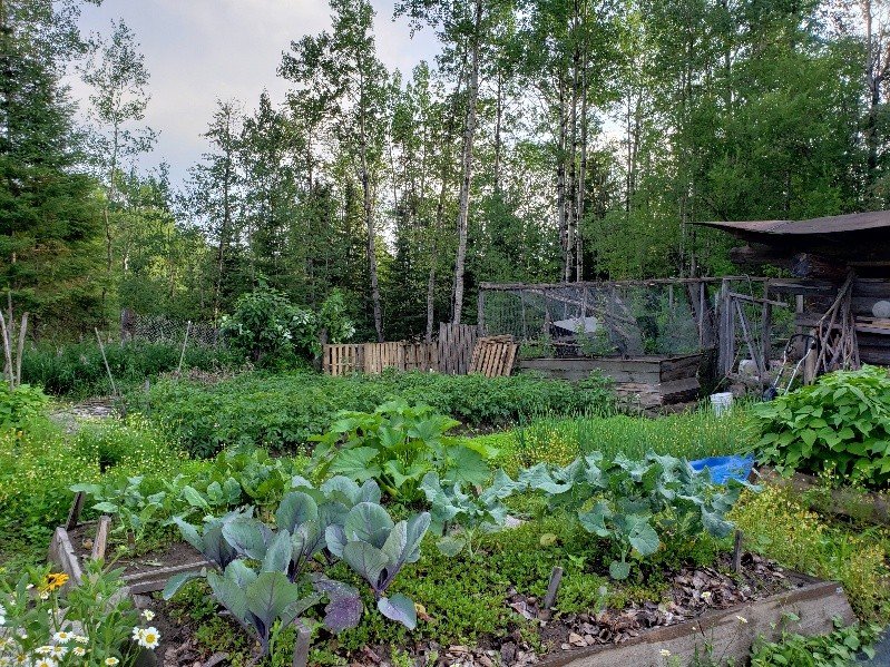 Large Vegetable Garden