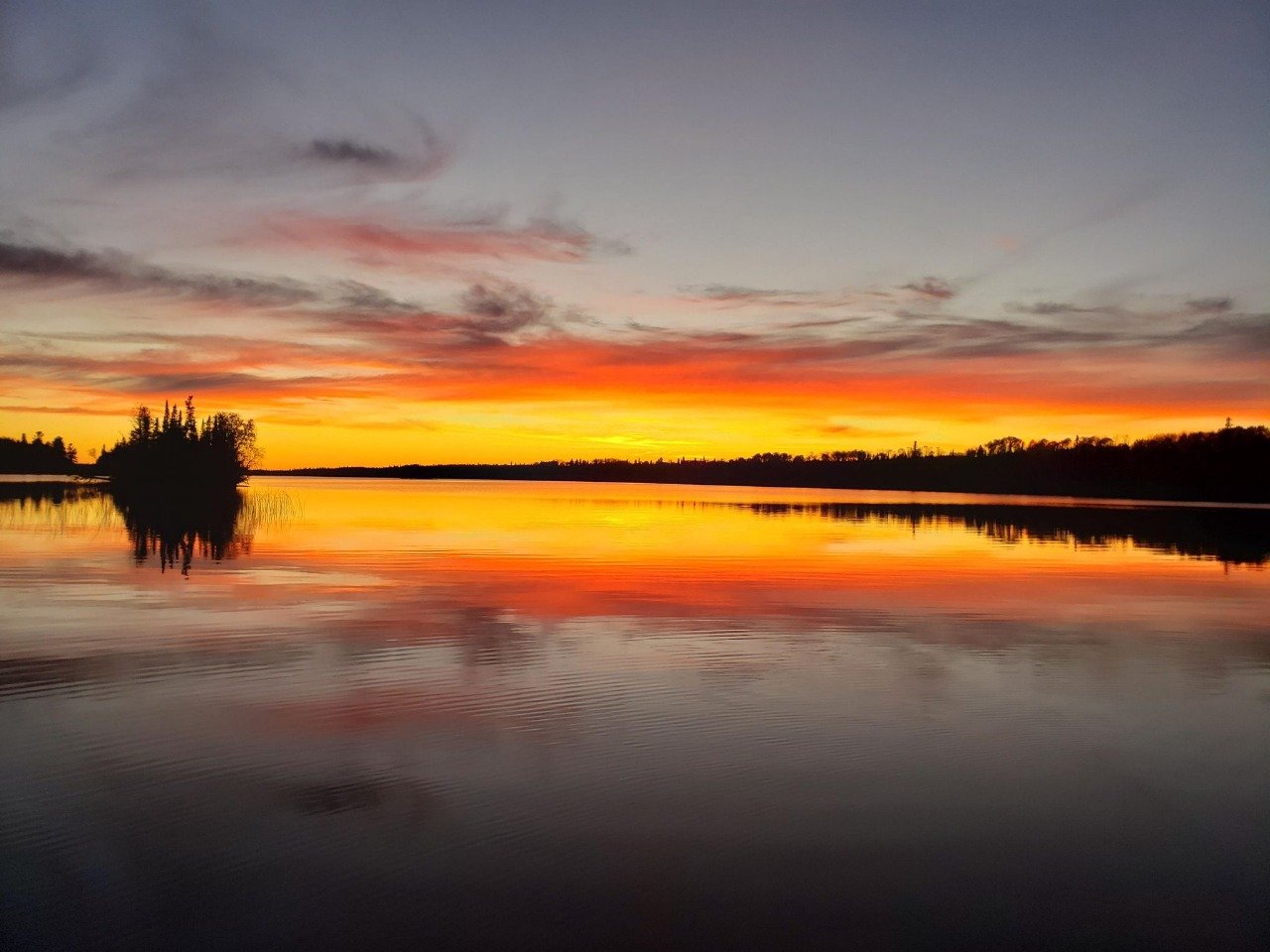 Vermilion North Pines