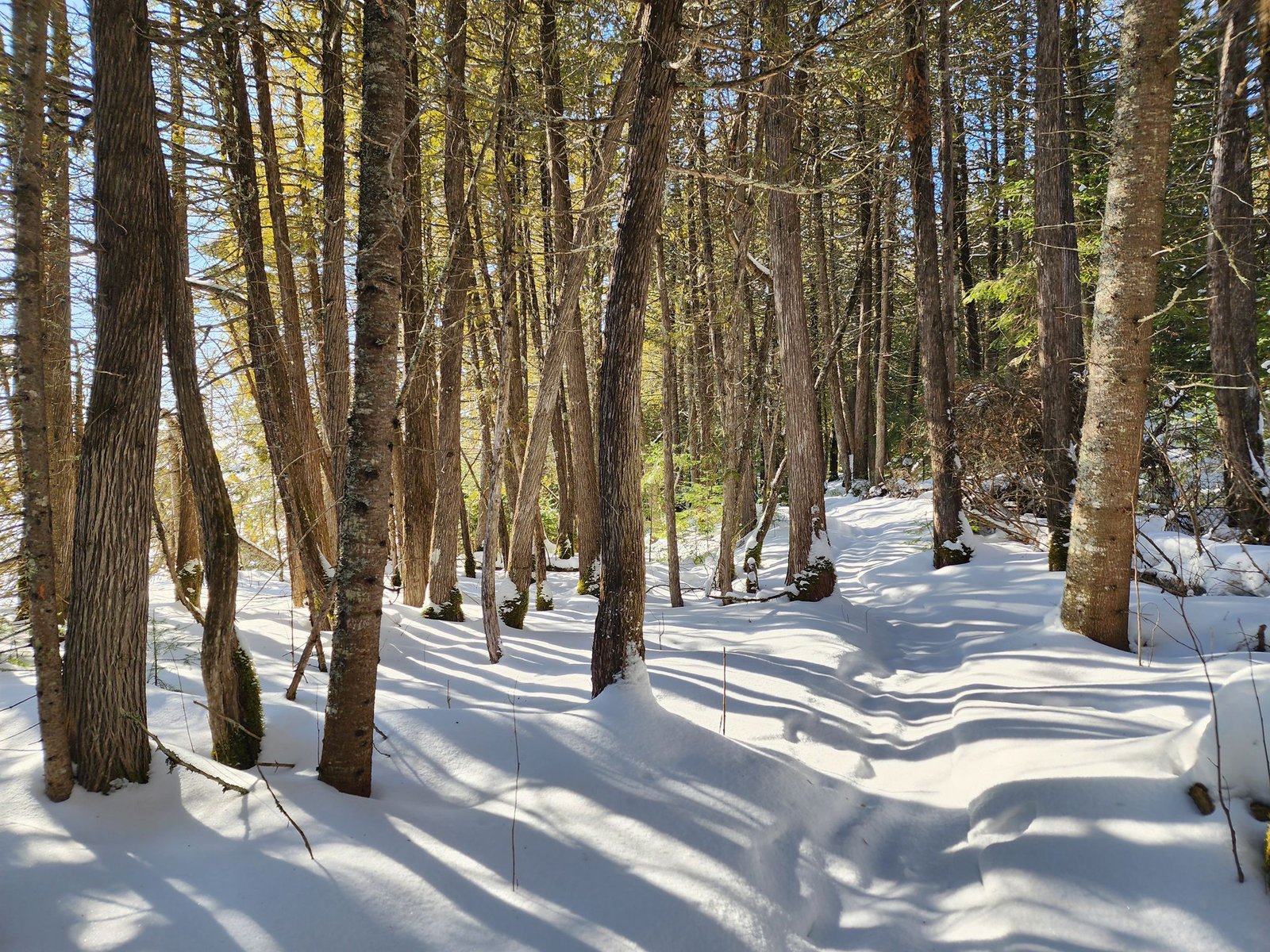 Trail Photo 1