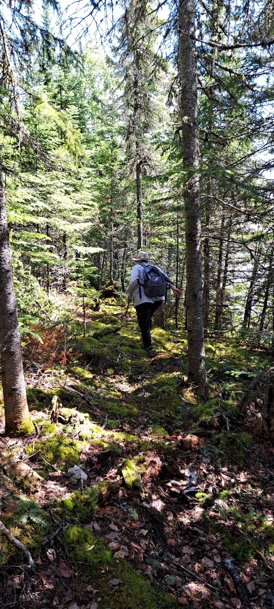 Trail Photo 2